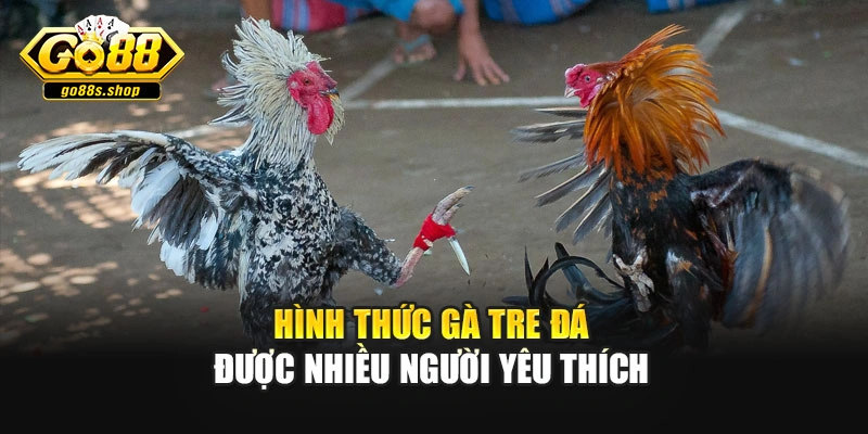 Hình thức gà tre đá được nhiều người yêu thích