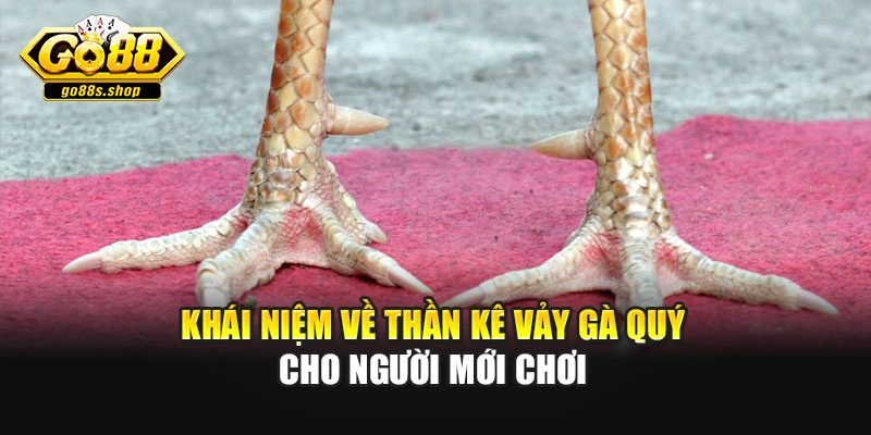 Khái niệm về thần kê vảy gà quý cho người mới chơi