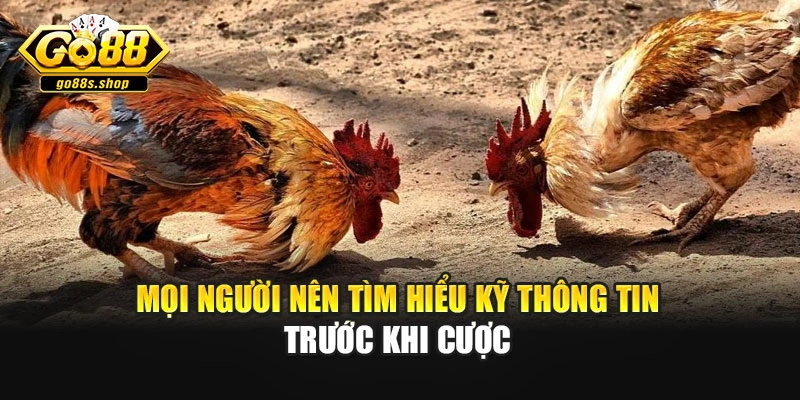 Mọi người nên tìm hiểu kỹ thông tin trước khi cược