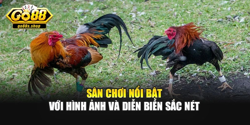 Sân chơi nổi bật với hình ảnh và diễn biến sắc nét